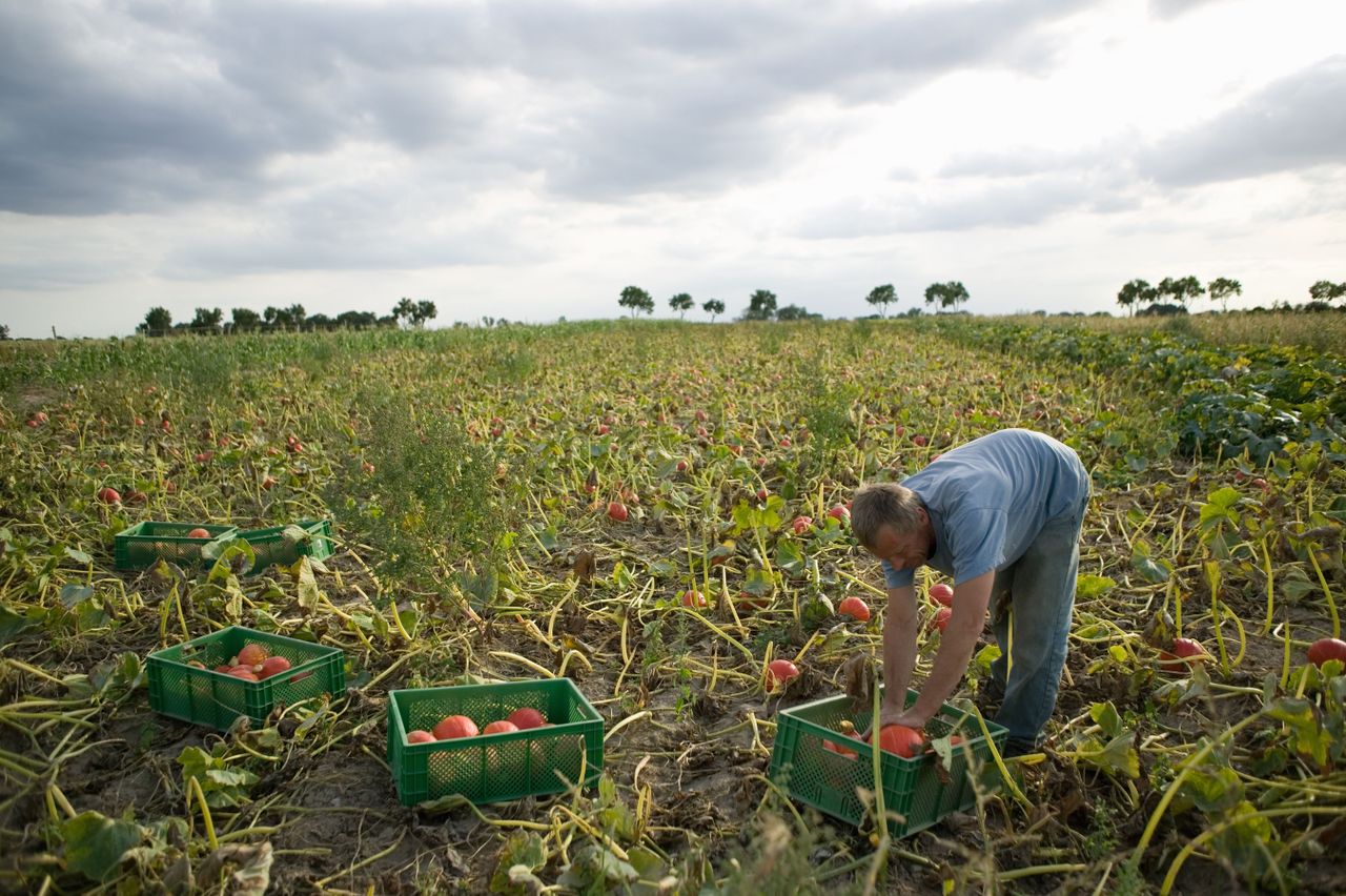 Organic farming