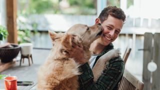 Excited dog licking man's face