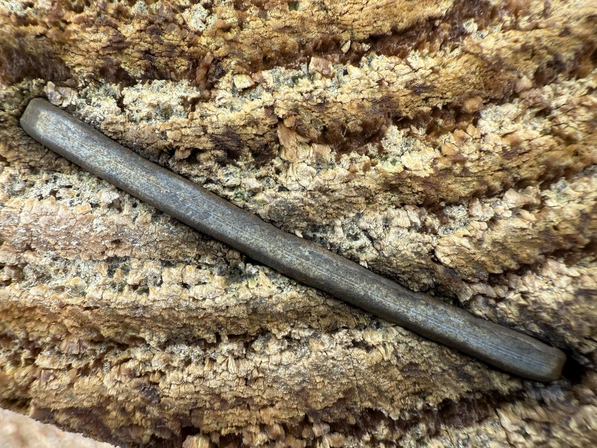 Apple iPhone 16 Pro Max macro sample.