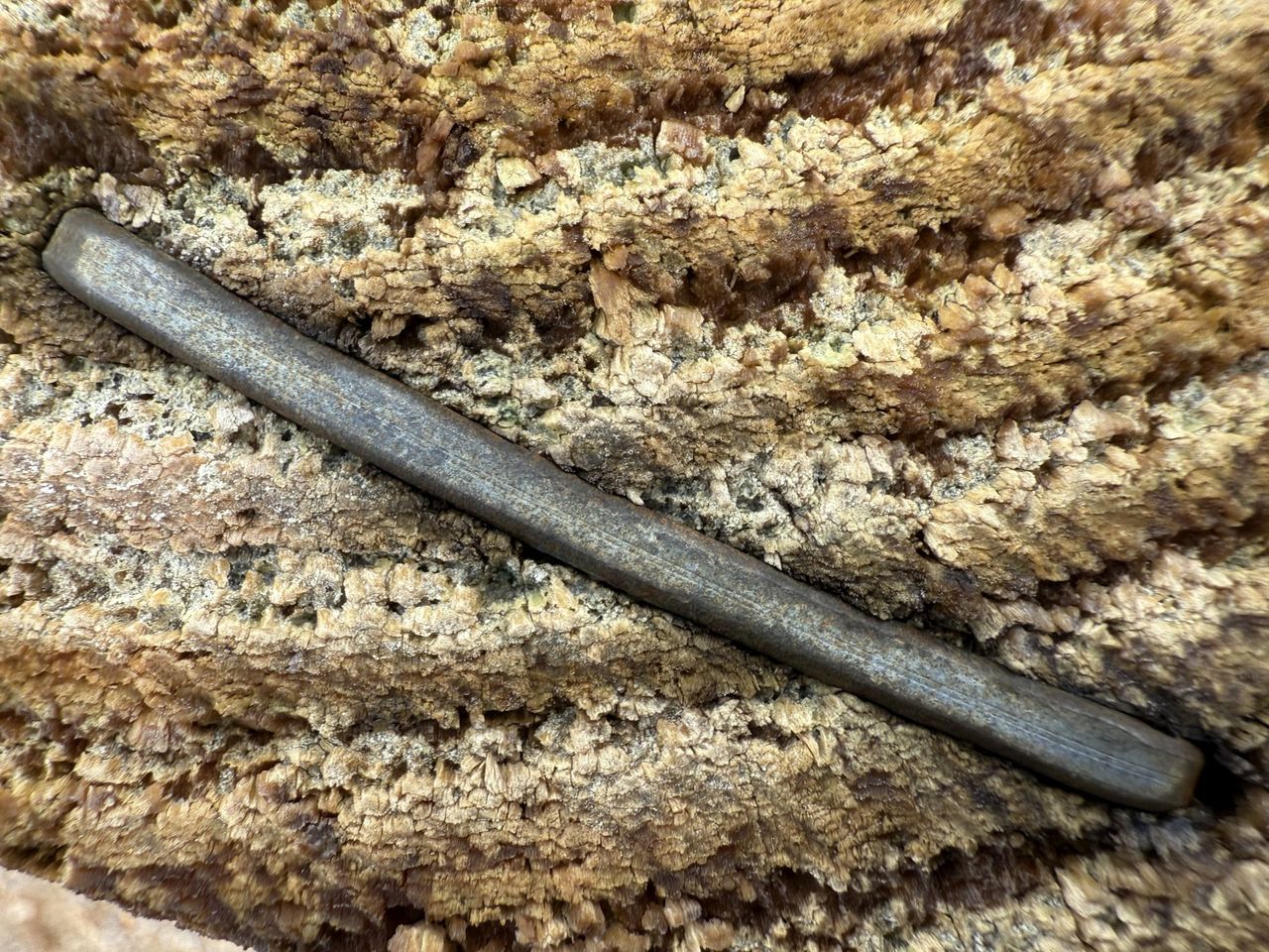 Apple iPhone 16 Pro Max macro sample.