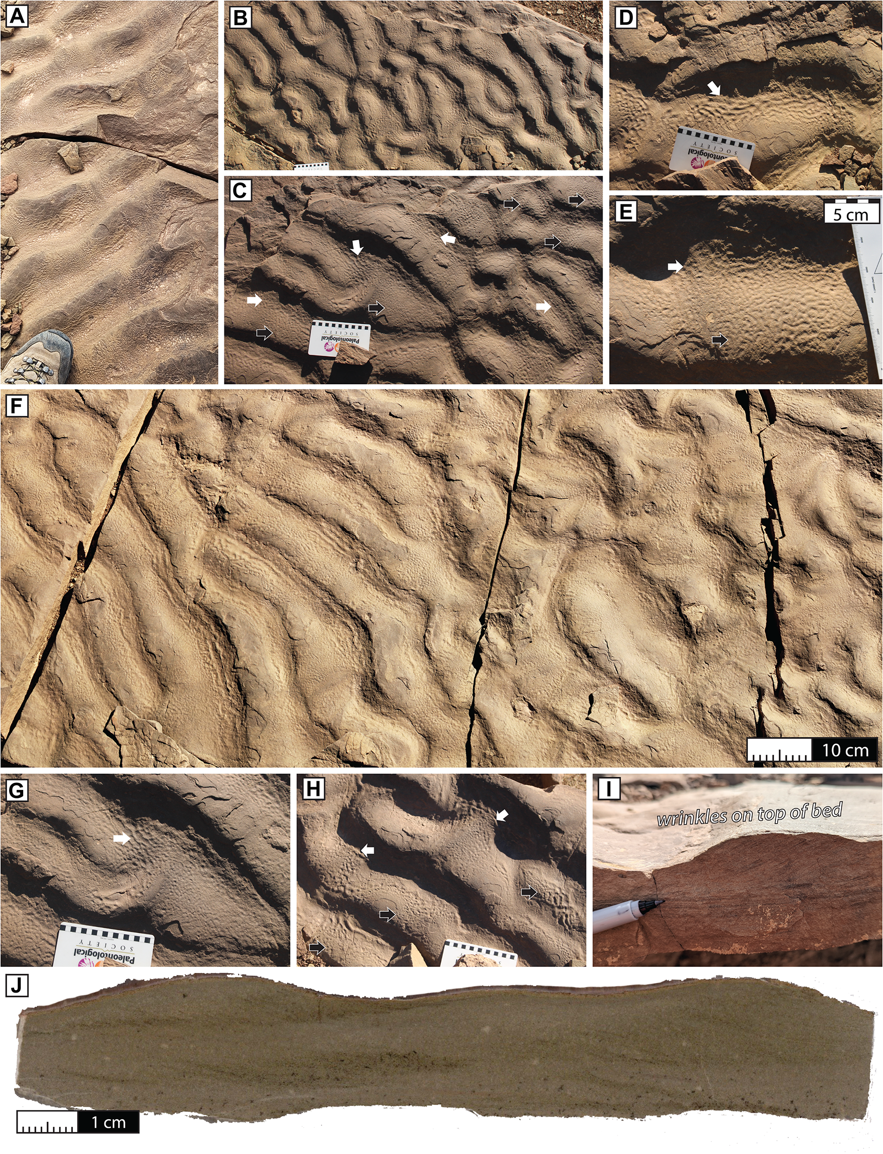 Ten photographs of the wrinkle structures in the Tagoudite Formation of the Central High Atlas Mountains, Morocco.