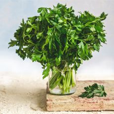 Parsley stored in jar with water