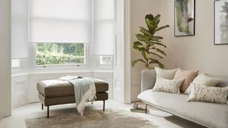 A calm, neutral-toned living room with white roller blinds partially drawn over a bay window. A green leafy plant and soft furnishings in blush and cream create a soft, relaxing atmosphere.