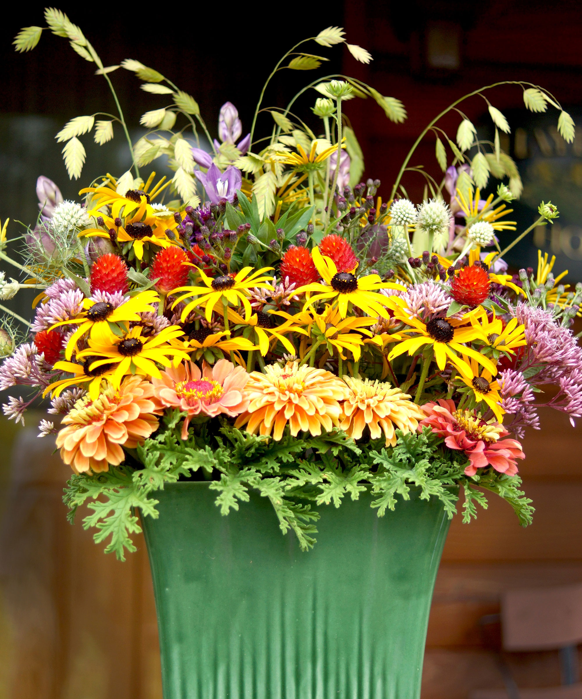 full sun container of native flowers