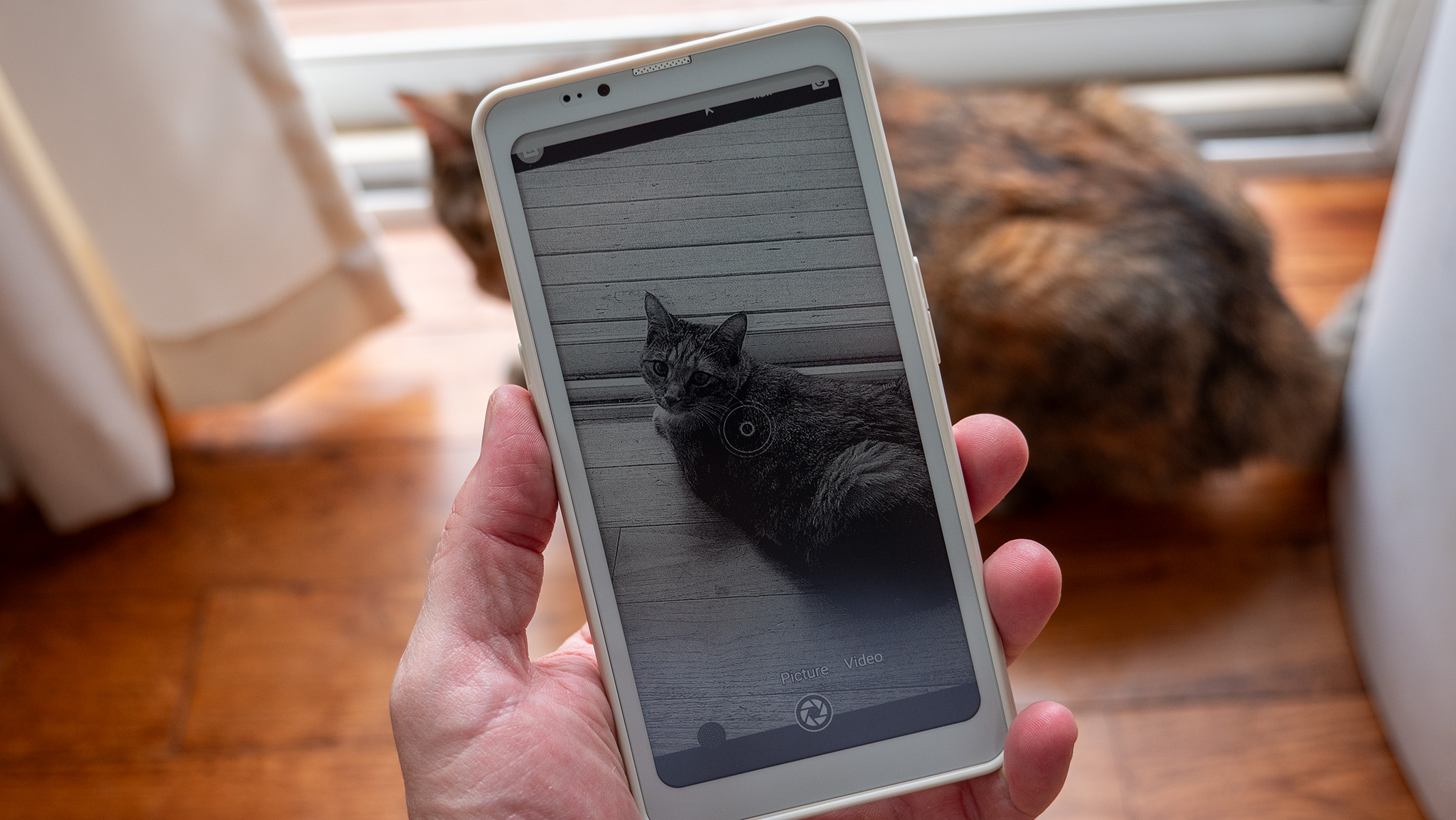 Taking a picture of a cat using a Bigme HiBreak Pro E Ink smartphone