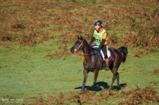 IMG_9187-e1507124931864.jpg
