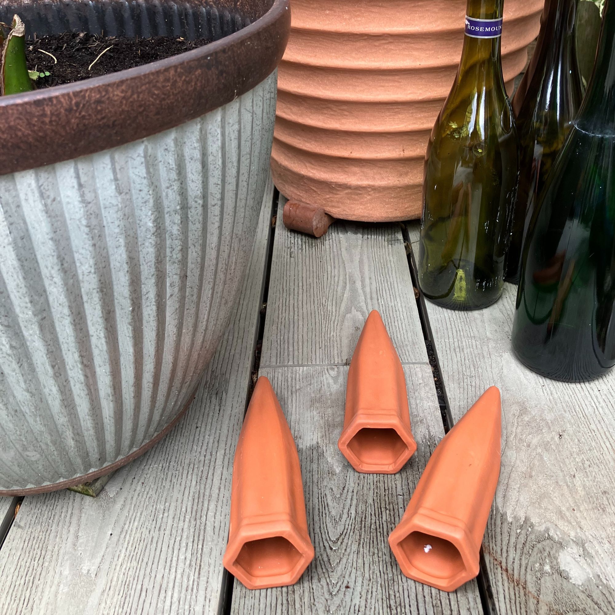 terracotta watering spikes with plant pots