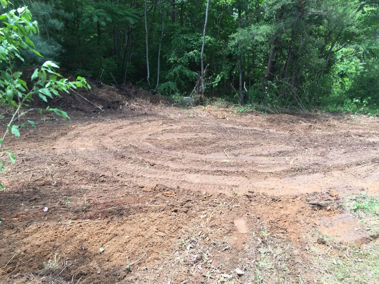 Cleared Forest Land With Open Dirt Space