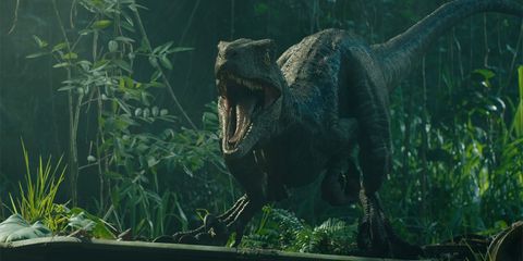 First Jurassic World: Dominion Footage Shows Off Classic Dinosaurs 