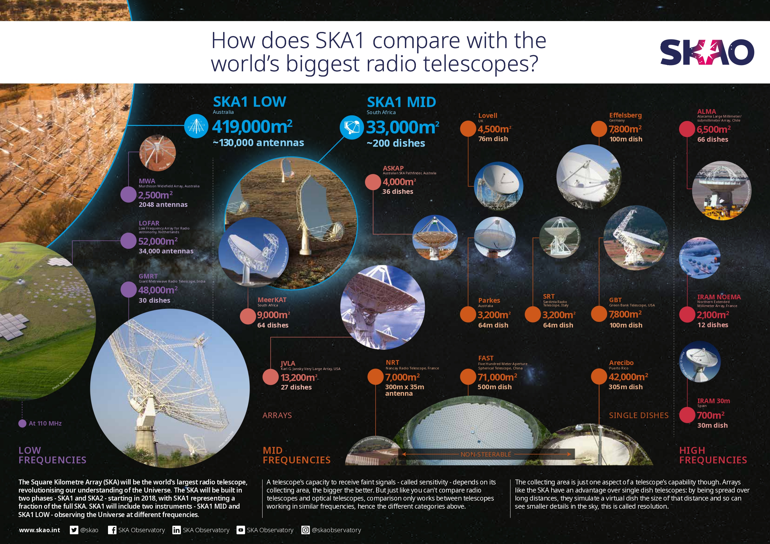 Infographic displaying some of the largest telescopes in the world, showing just how big the SKAO will be compared to other telescopes.