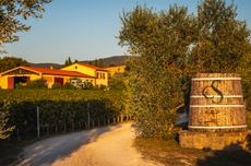 Campo alla Sughera winery in Bolgheri DOC, Tuscany