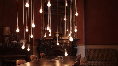 Light bulbs strung above a dining table.