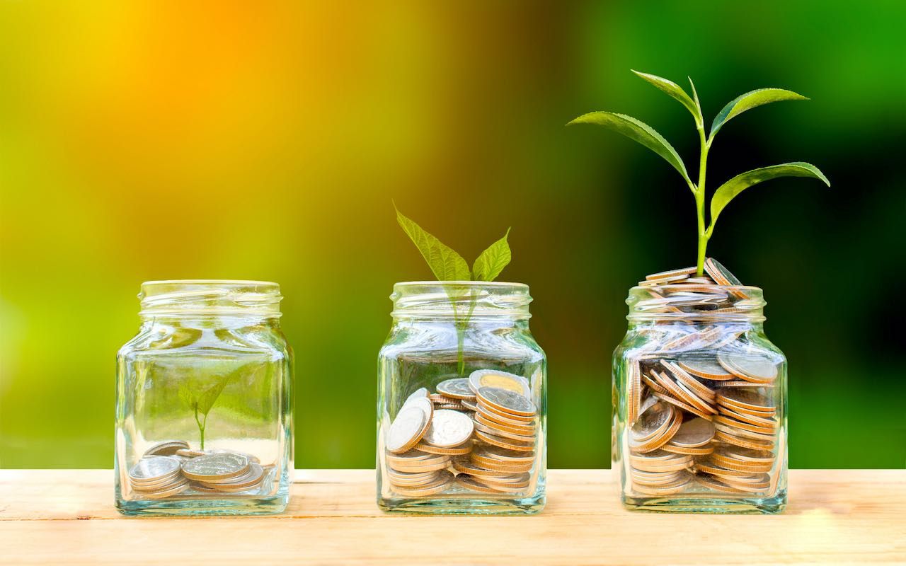 Conceptual coins in glass bottle and growing tree on nature background,Business investment growth concept