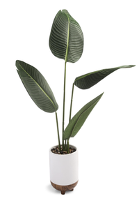 XL Faux Leaf Plant | £18