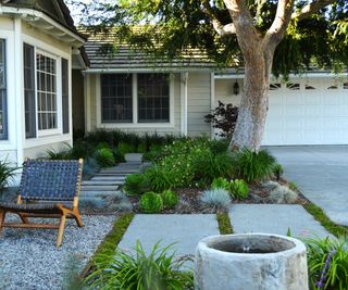 Living Gardens front yard with succulents and tree