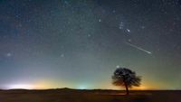 Nighttime image of a field with a silhouette of a tree. The night sky takes up most of the image, full of stars and a meteor can be seen shooting down on the right side. 