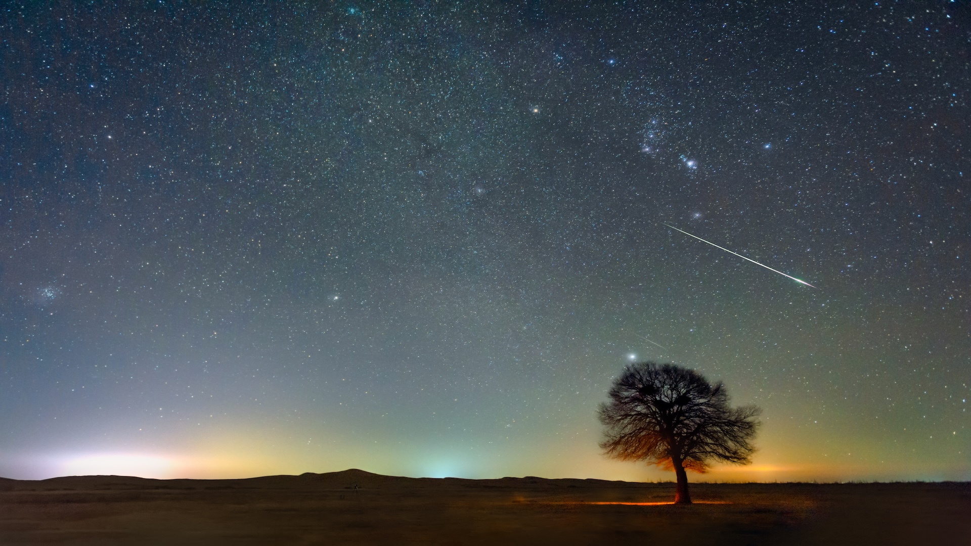 Nighttime image of a field with a silhouette of a tree. The night sky takes up most of the image, full of stars and a meteor can be seen shooting down on the right side. 