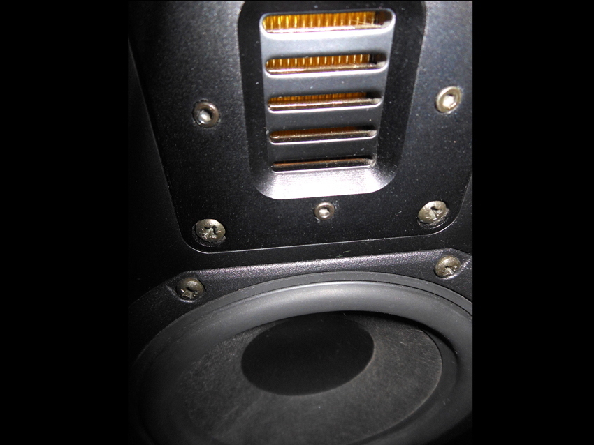 Adam P11 monitors