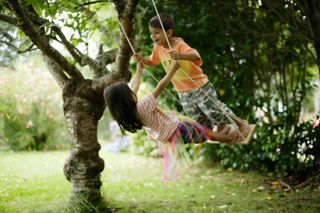 two children playing on tree swing