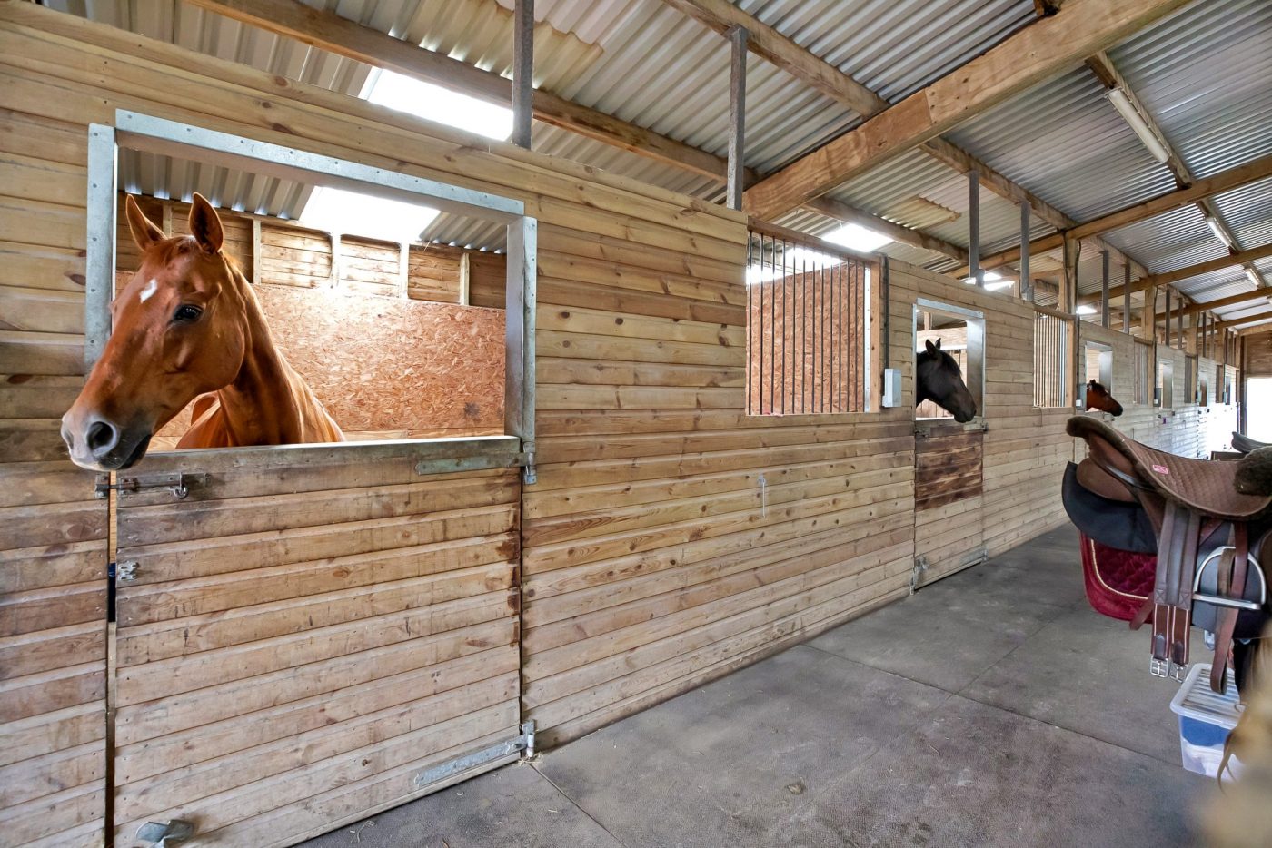 Lower-Willsworthy-House-STABLES-scaled-e1595845125714.jpg