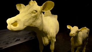 The traditional butter cow and calf are a mainstay of the annual butter display at the Ohio State Fair. The 2019 display pays tribute to the 50th anniversary of the Apollo 11 moon landing.