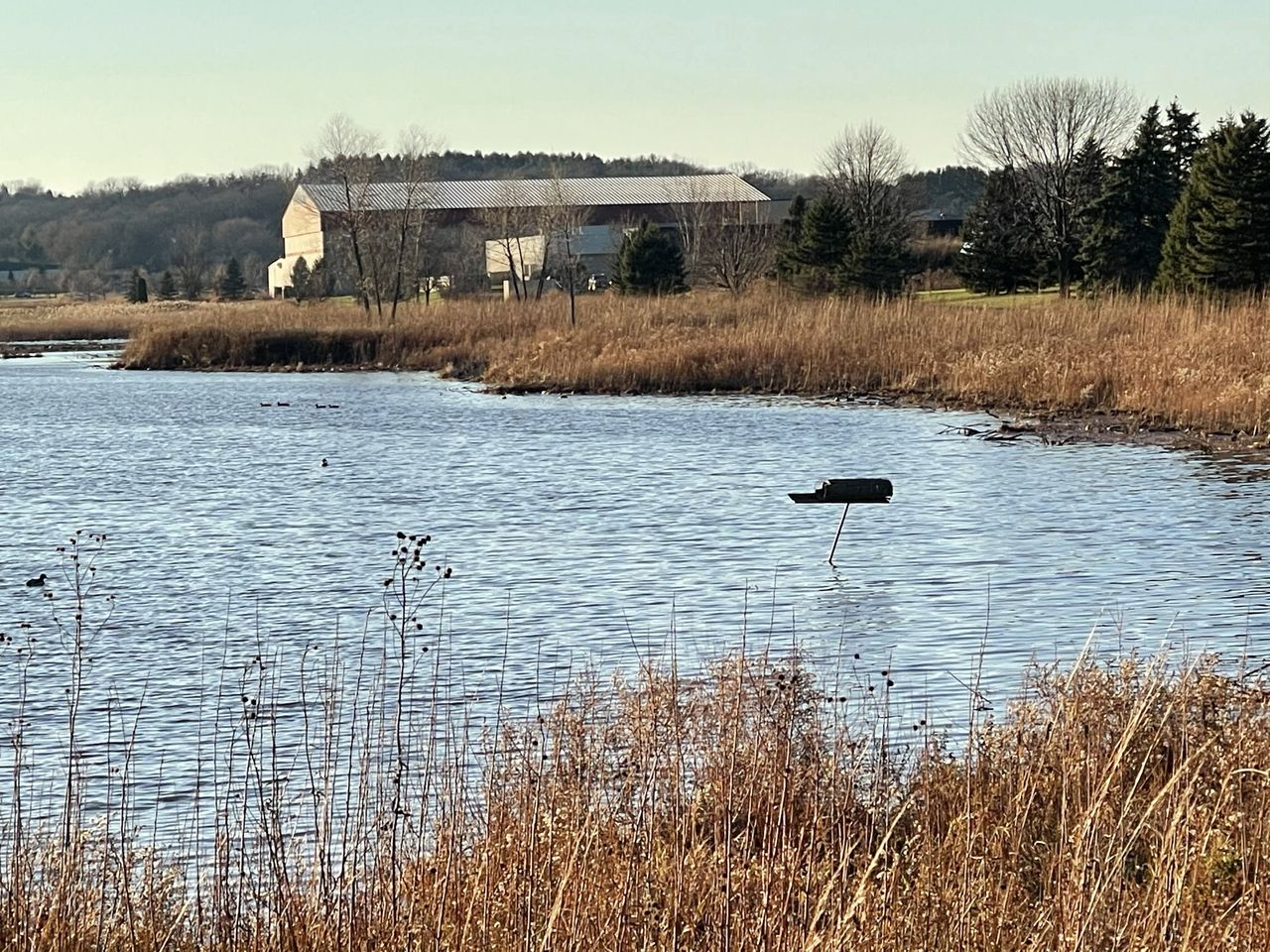 iPhone 12 Pro Max camera samples