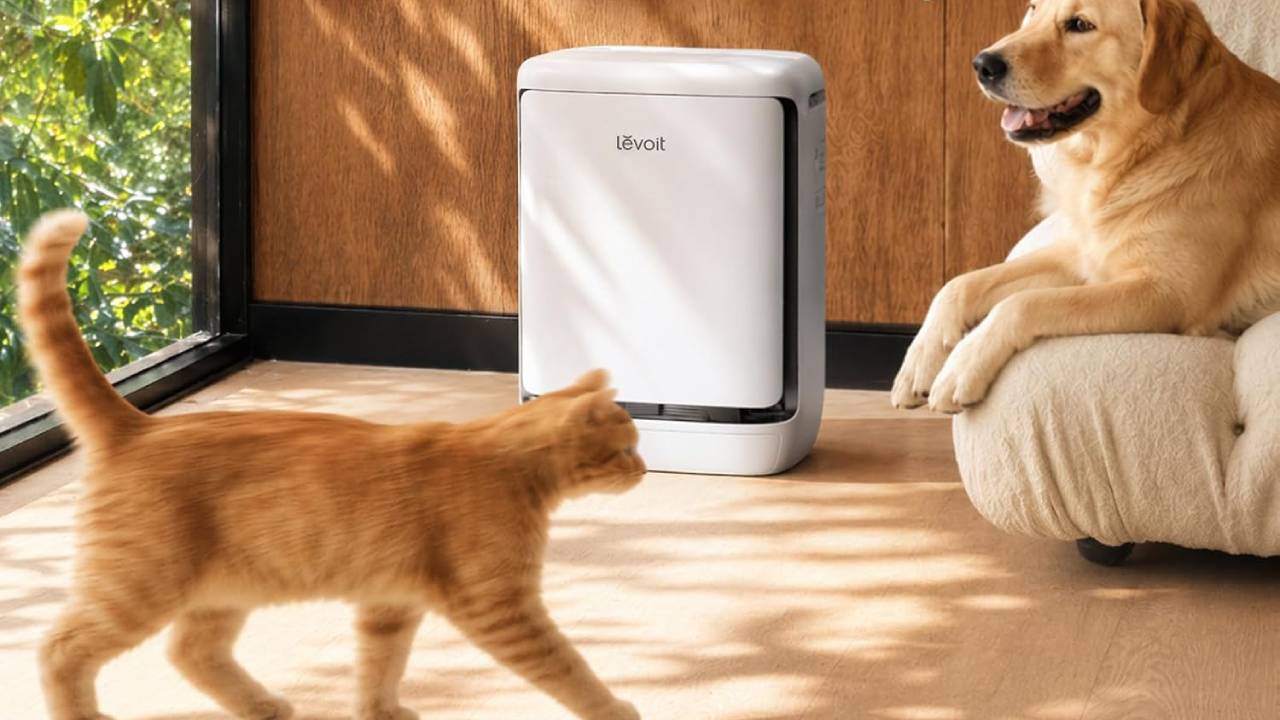 Levoit Vital Pet Pro Air Purifier 
