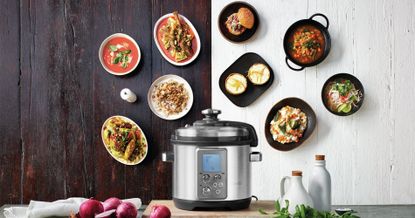 The fast discount slow pro cooker