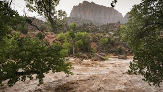 Flooding in Zion National Park