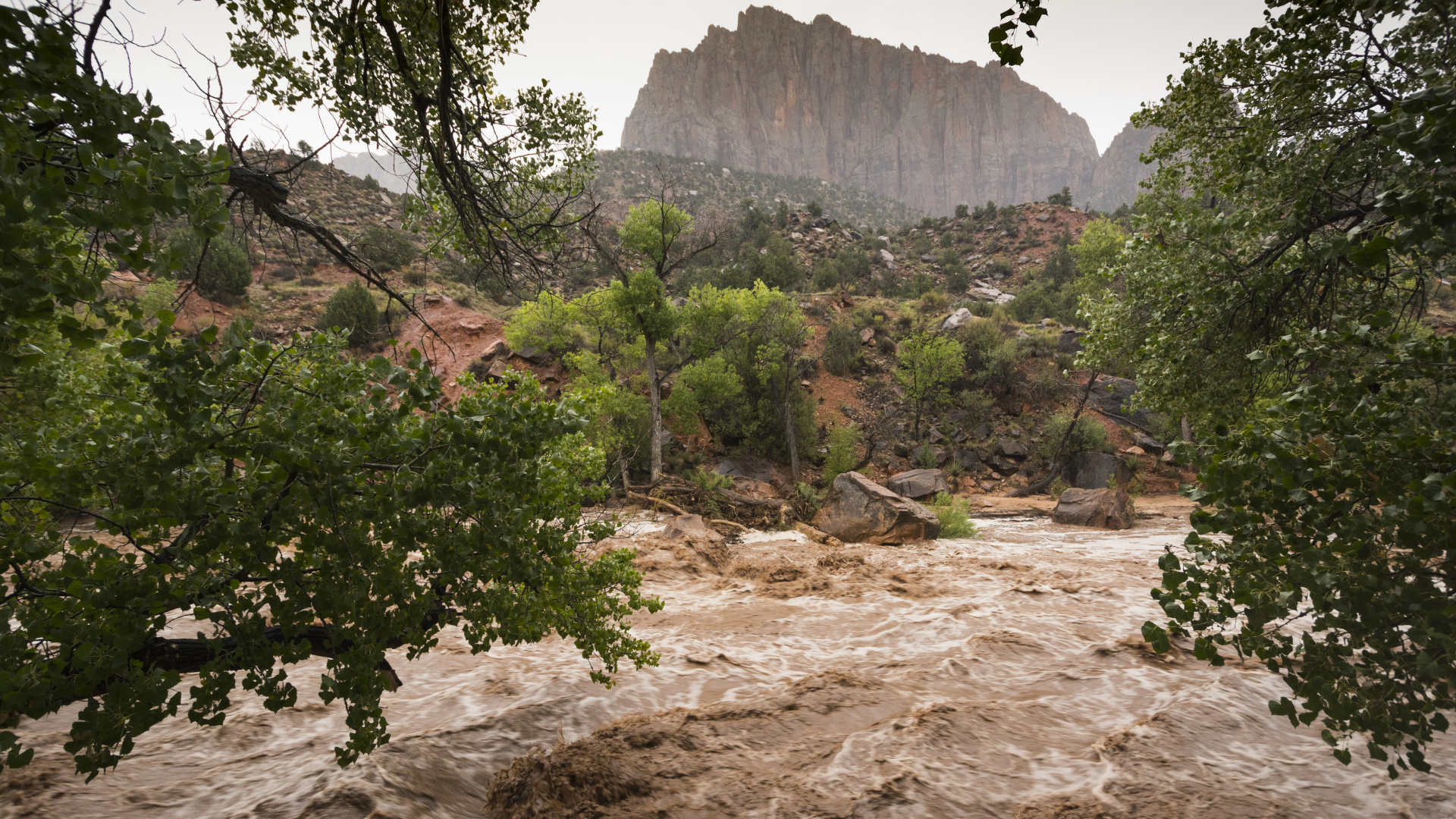 Why are flash floods so dangerous? Avoiding rising water on a desert