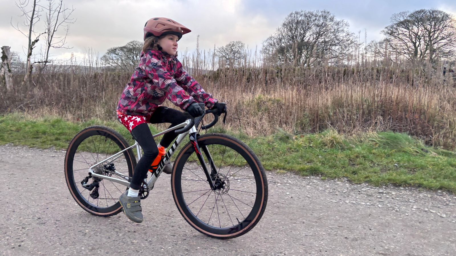 Mini Roudbike Giant Seek 1 review: is this the ultimate mini road bike for your ...