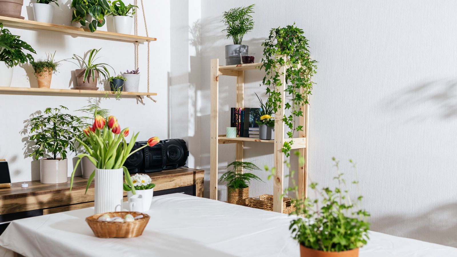 Modern kitchen with wood shelves and houseplants
