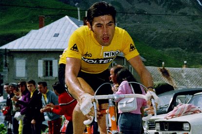 Most of Merckx's success came after he left Peugeot, but his time there helped shape his career. Photo: Yuzuru Sunada