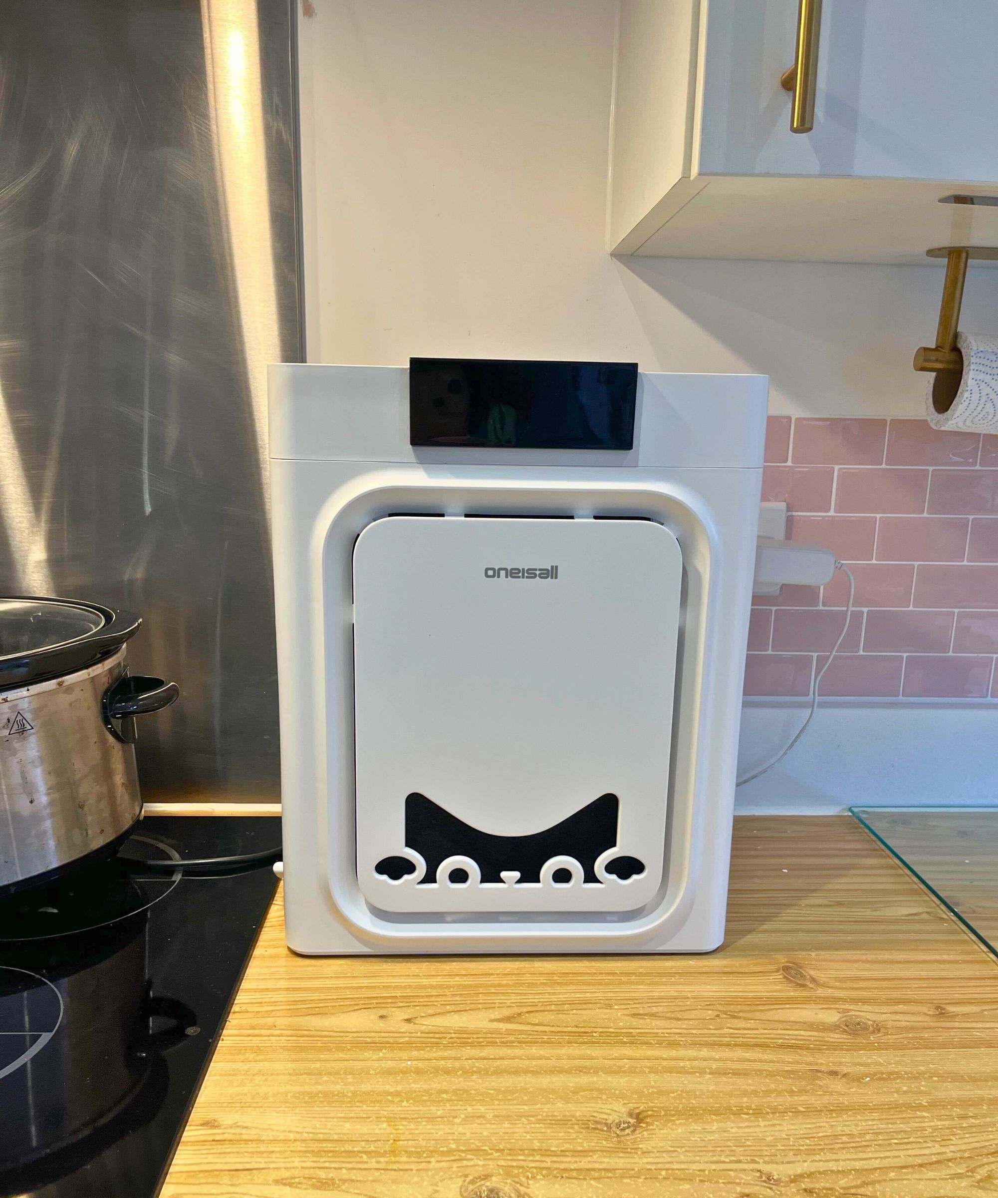 White and rectangle, the oneisall air purifier for pet hair and dander is pictured on a wooden kitchen counter. It's compact.