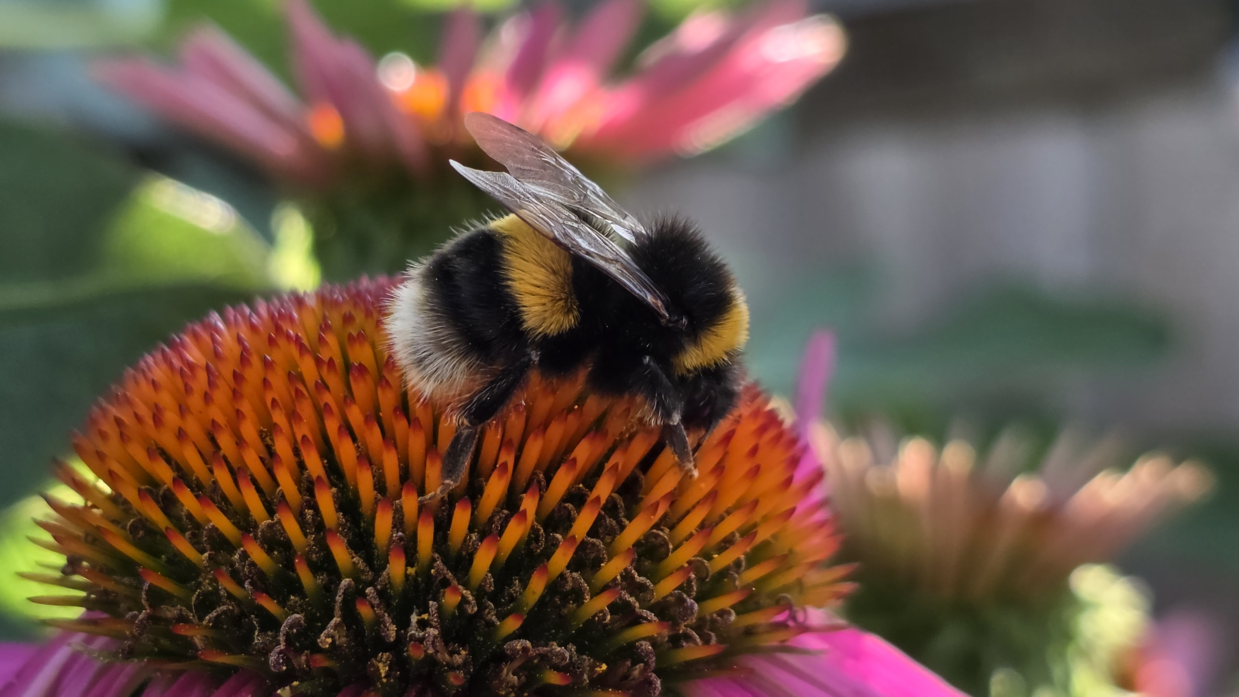 Samsung Galaxy Z Fold 7 review sample image