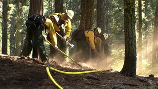 Fighting the Rim FIre With Hand Line and Hose in Tuolumne Grove
