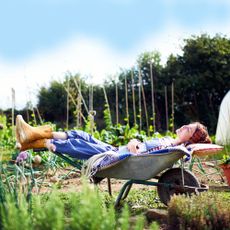 A woman takes a break from working on her garden on a sunny day and falls asleep holding a book in a wheelbarrow.