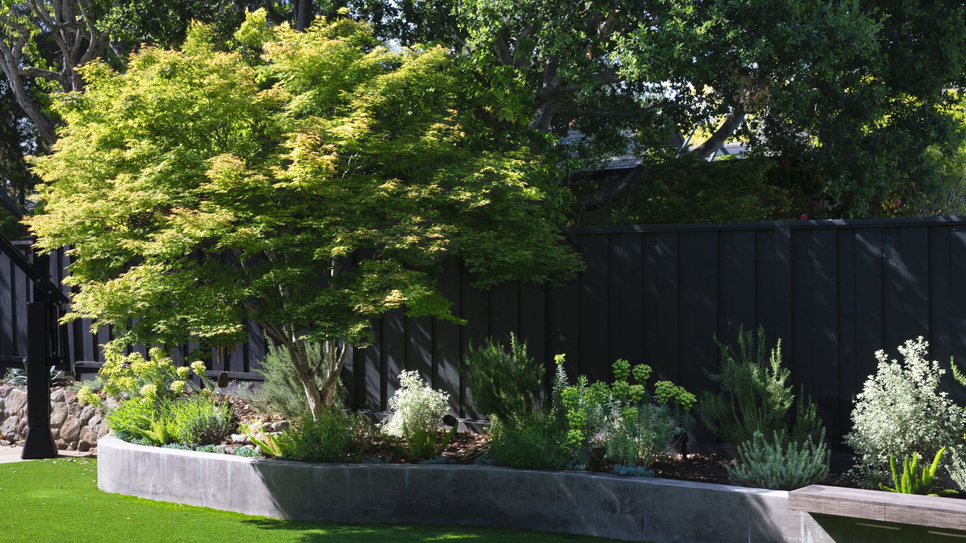 A garden with a cement border and bench beside an elevated garden featuring a maple, textured grass and small plants