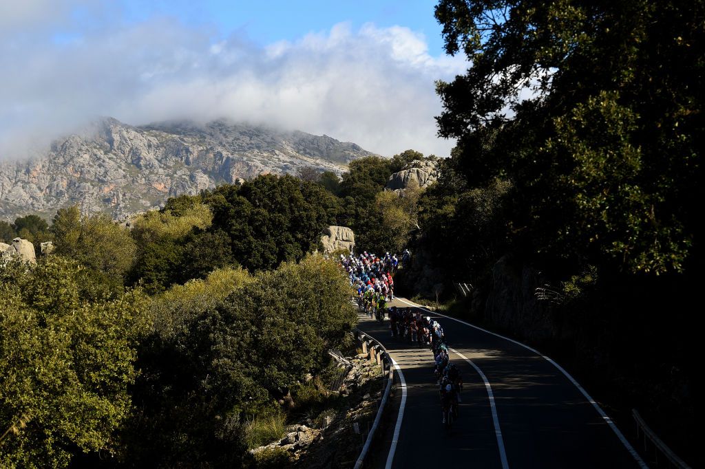 ANDRATX SPAIN JANUARY 29 The peloton passing through a landscape during the 31st Challenge Ciclista Mallorca 2022 Trofeo Pollena Port d Andratx a 170 km race from Pollena to Andratx 214m ChallengeMallorca on January 29 2022 in Andratx Spain Photo by Dario BelingheriGetty Images