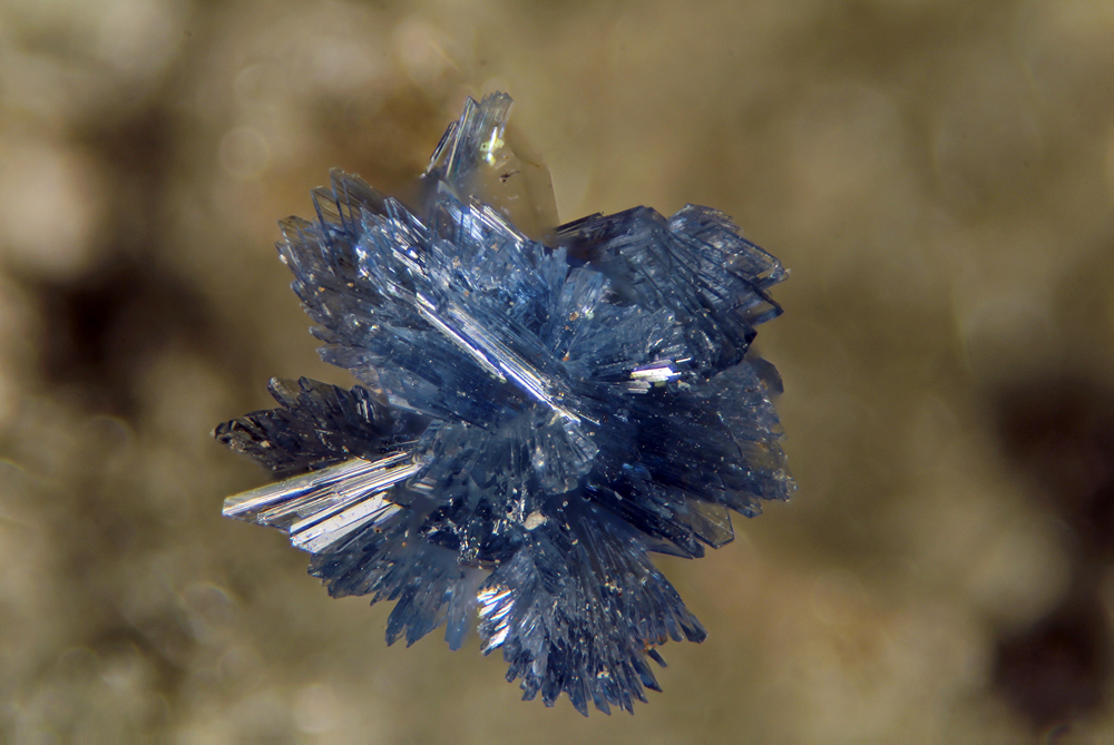 nikon small world competition, vauxite