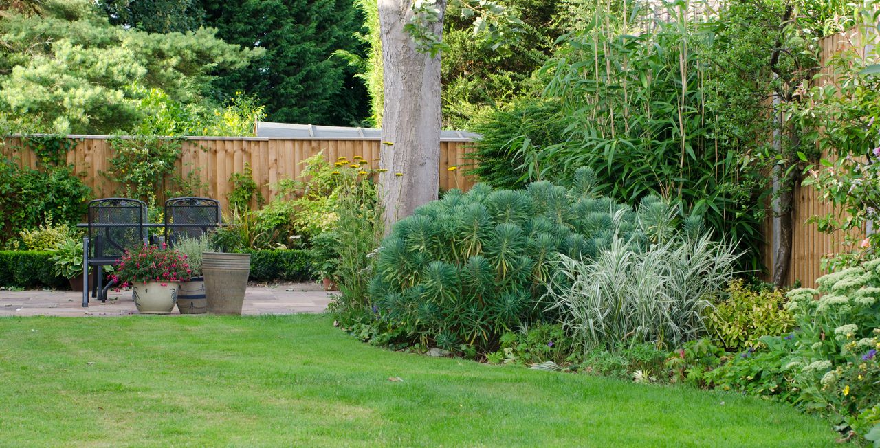 wooden fence around a garden