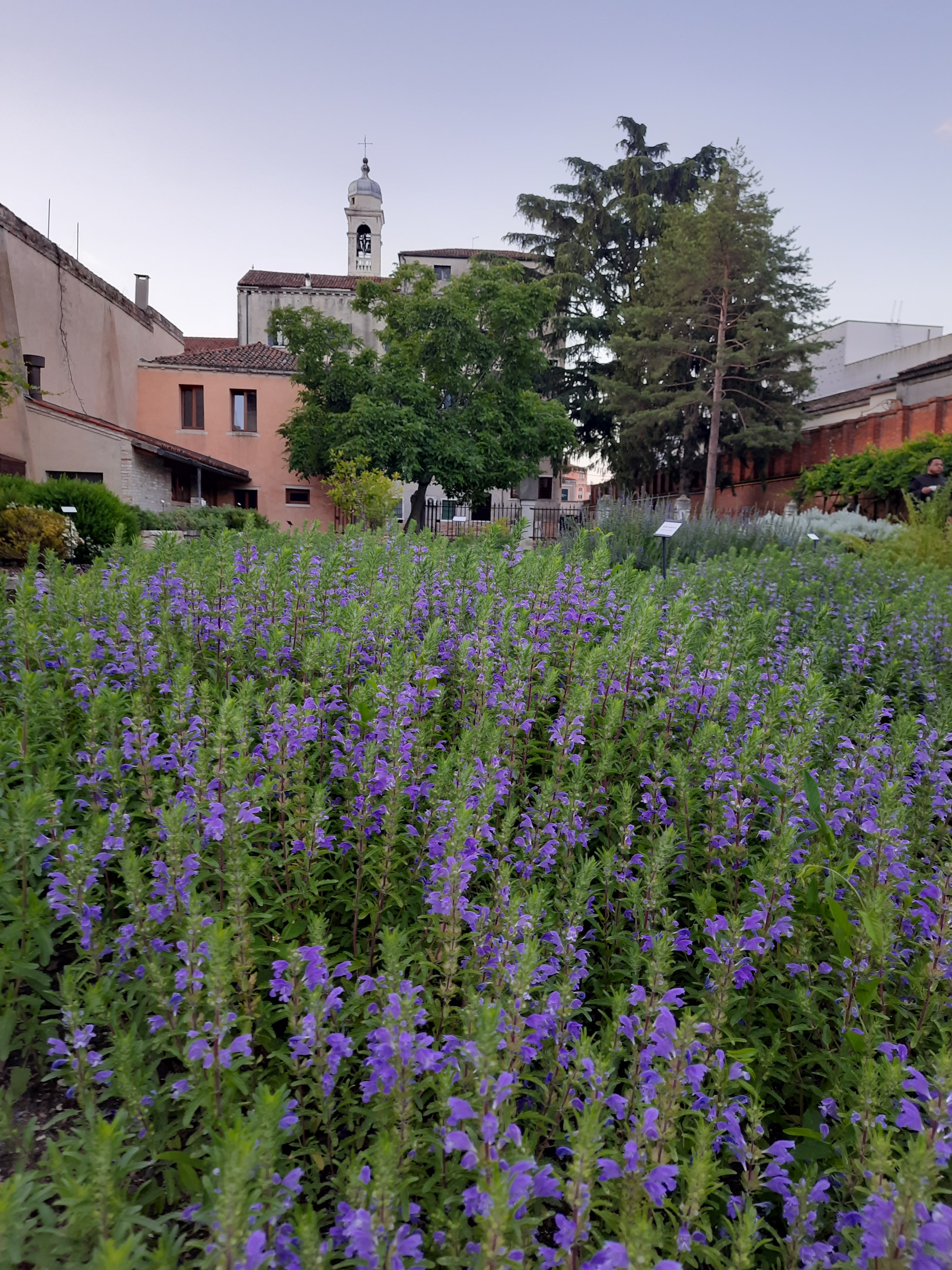 Holy See Pavilion Venice Biennale 2026