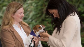 Meghan Markle with a dog