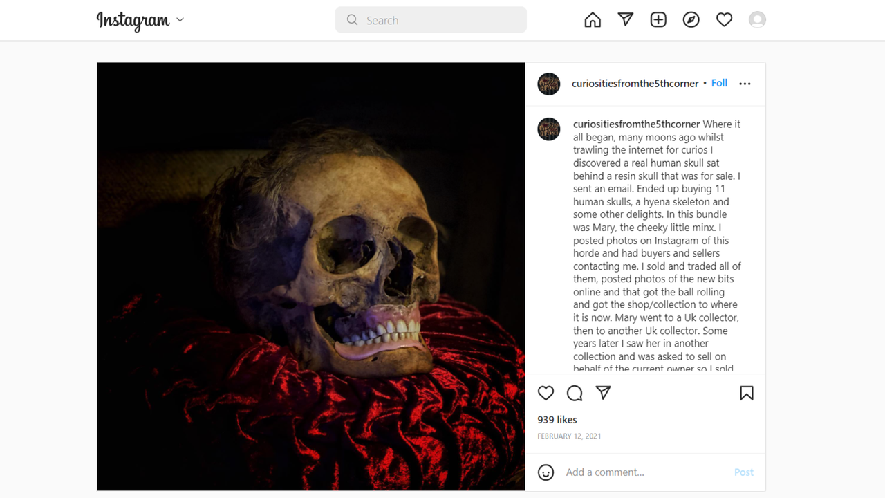 A screenshot of a human skull with hair on Instagram.