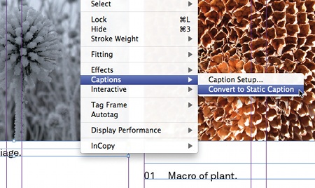 caption convert static