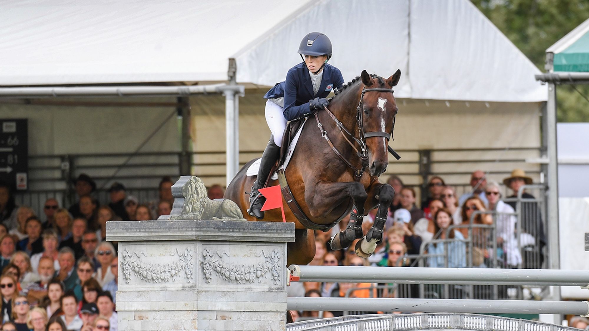 Five-star legend Topspin heads into semi-retirement