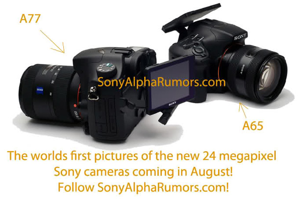 Sony A77, Sony A65 slated for release