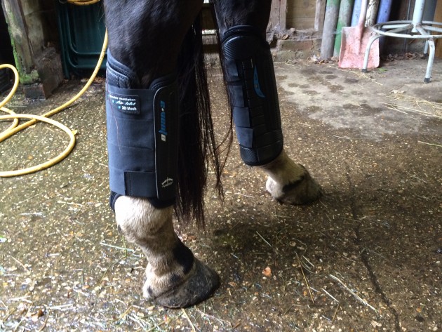 Hind boots