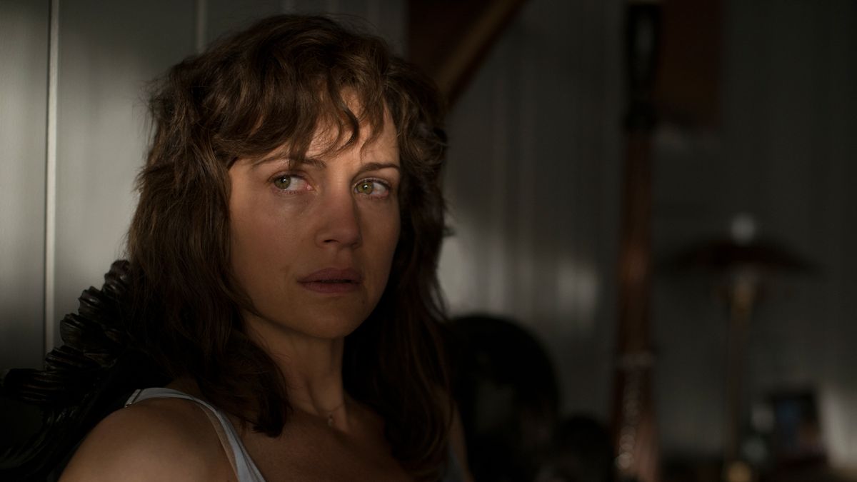 Gerald's Game's Carla Gugino Recalls Fearing That The Brilliant Stephen King Movie Could Have Been The End Of Her Career - Vimarsana News