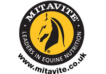 MItavite.jpg